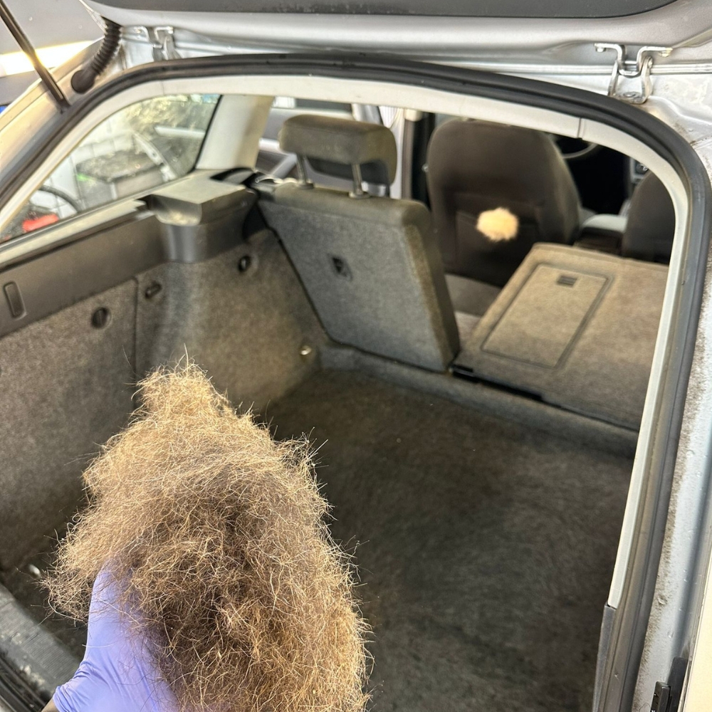 Kofferraum reinigung